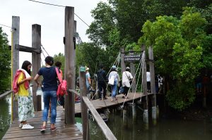 The mangroves of Prasae