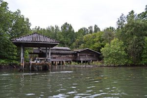 The mangroves of Prasae