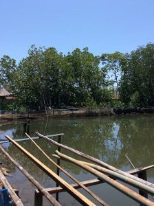 The art of krill fishing in Prasae