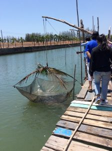 The art of krill fishing in Prasae