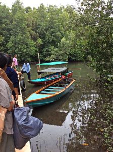 The mangroves of Prasae