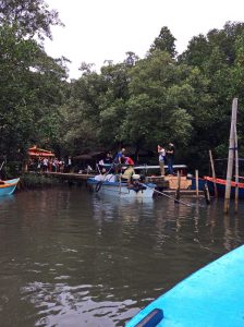 The mangroves of Prasae