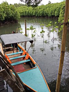 The mangroves of Prasae