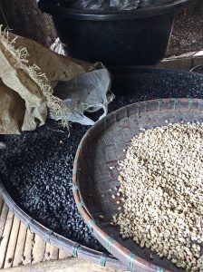 The aromatic trail of hill tribe coffee in Chiang Mai